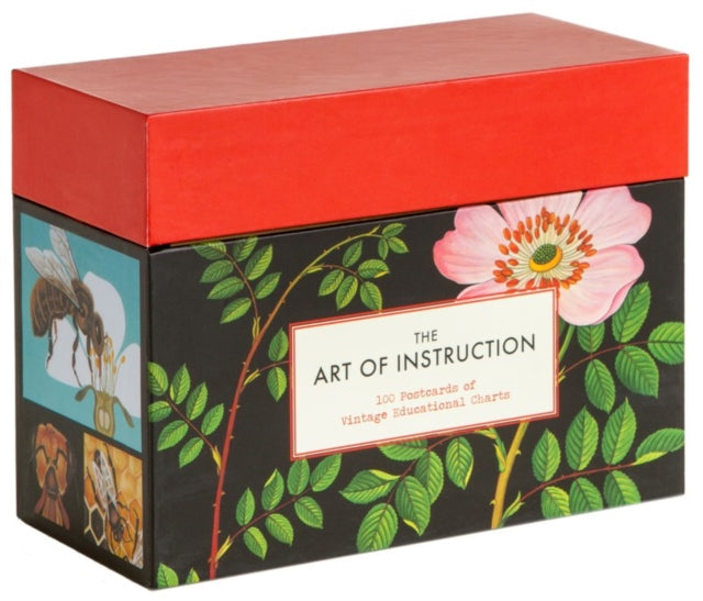 The Art of Instruction-9781452105956