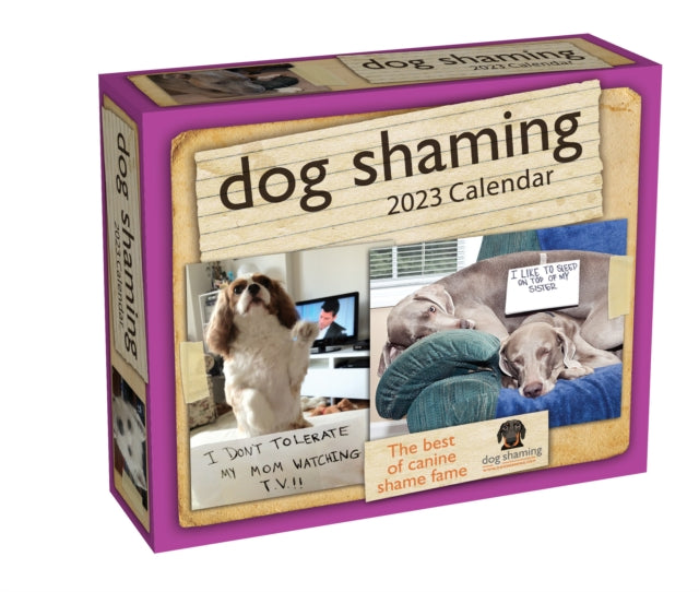 Dog Shaming 2023 Day-to-Day Calendar-9781524872809