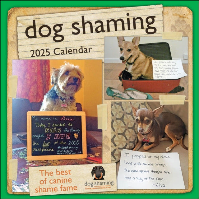 Dog Shaming 2025 Wall Calendar-9781524890759