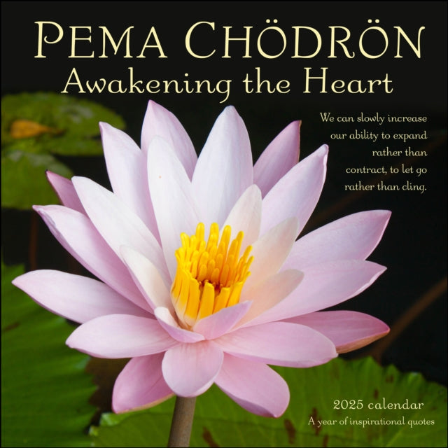 Pema Chodron 2025 Wall Calendar : Awakening the Heart-A Year of Inspirational Quotes-9781524891114