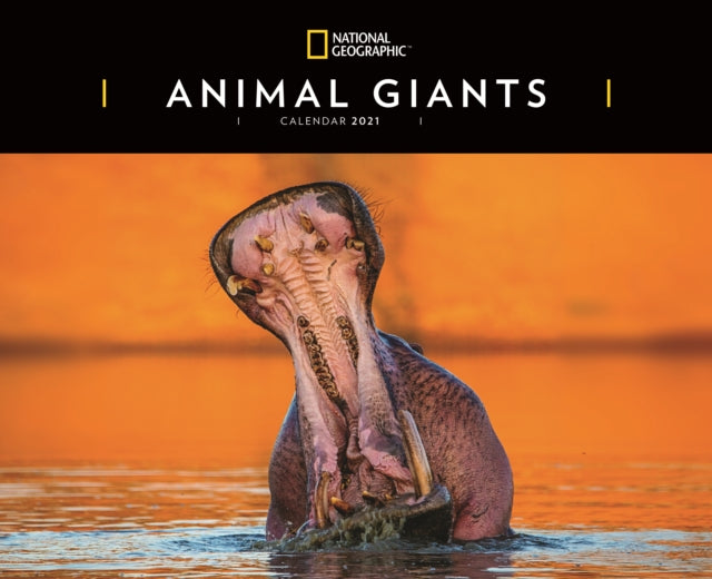 Animal Giants National Geographic Deluxe Calendar 2021-9781529809879