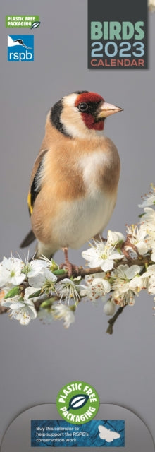 RSPB Birds Slim Calendar 2023-9781529824032