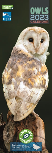 RSPB Owls Slim Calendar 2023-9781529824056