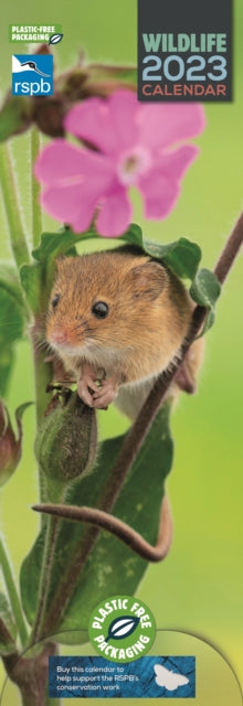 RSPB British Wildlife Slim Calendar 2023-9781529824087