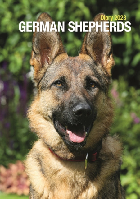 German Shepherds A5 Diary 2023-9781529824643