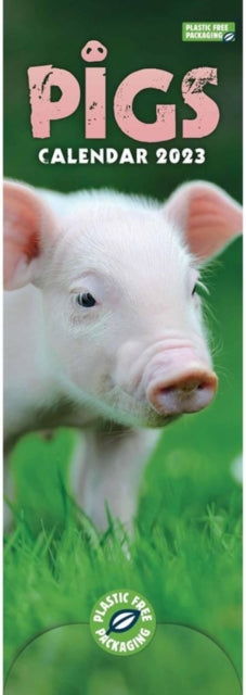 Pigs Slim Calendar 2023-9781529825367