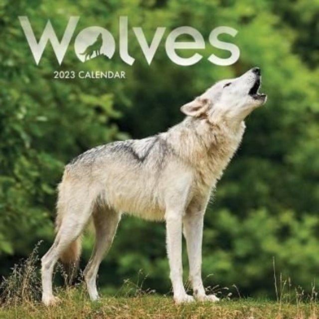 Wolves Mini Square Wall Calendar 2023-9781529825862