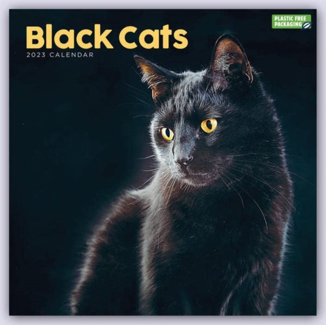 Black Cats Square Wall Calendar 2023-9781529826227