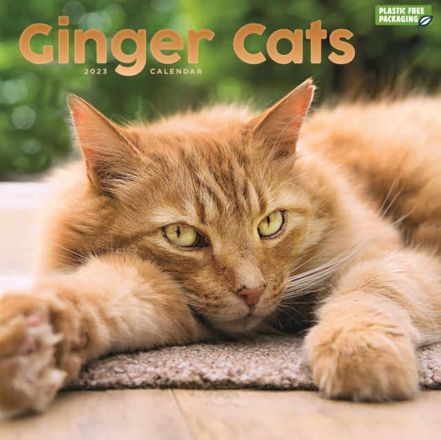 Ginger Cats Square Wall Calendar 2023-9781529826401