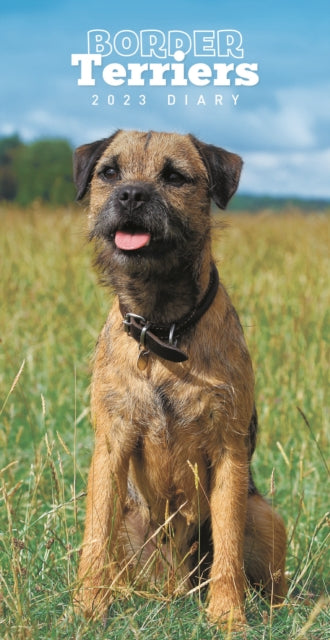 Border Terriers Slim Diary 2023-9781529827231