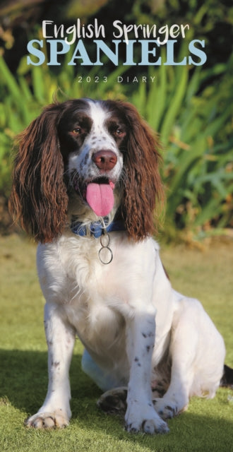 English Springer Spaniels Slim Diary 2023-9781529827279