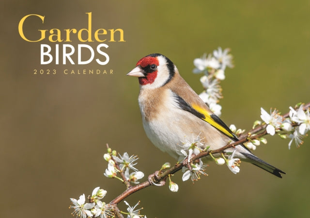 Garden Birds A4 Calendar 2023-9781529827576