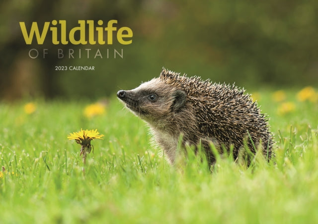 Wildlife of Britain A4 Calendar 2023-9781529827712