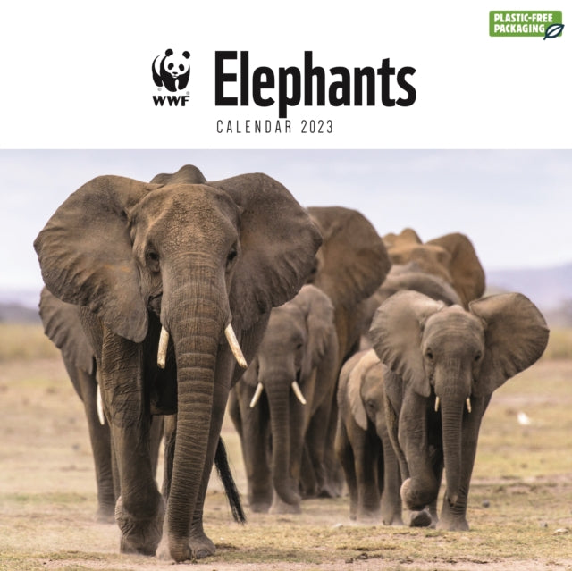 WWF, Elephants Square Wall Calendar 2023-9781529828924