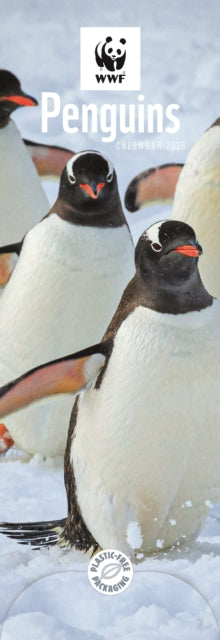 WWF Penguins Slim Calendar 2025-9781529841244