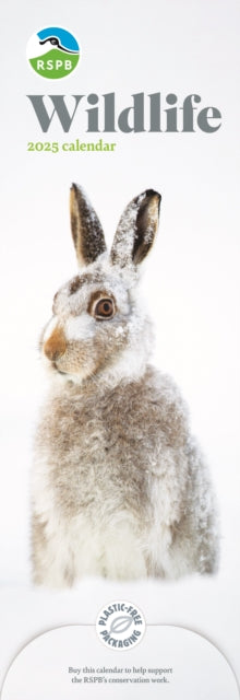 RSPB Wildlife Slim Calendar 2025-9781529841619