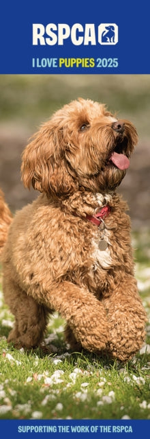 RSPCA I Love Puppies Slim Calendar 2025-9781529843224