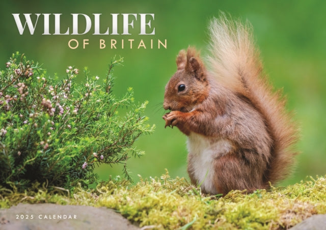 Wildlife of Britain A4 Calendar 2025-9781529844559