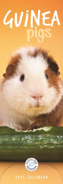 Guinea Pigs Slim Calendar 2025-9781529844986
