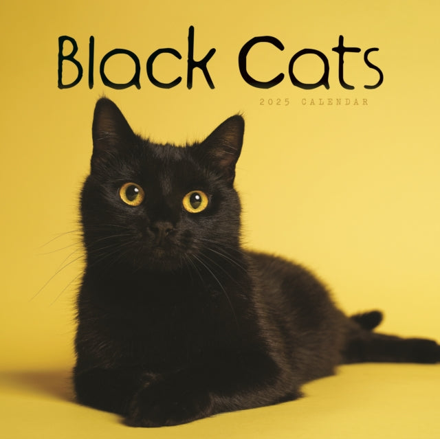 Black Cats Square Wall Calendar 2025-9781529845099