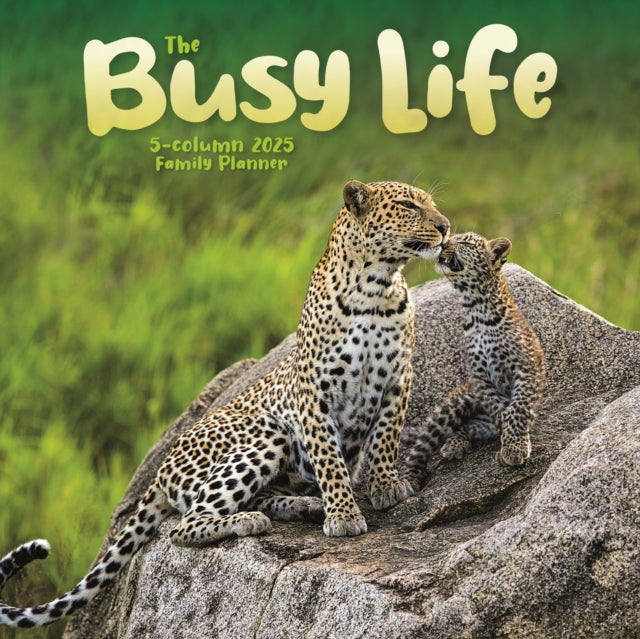 Busy Life Planner Wall Calendar 2025-9781529845105