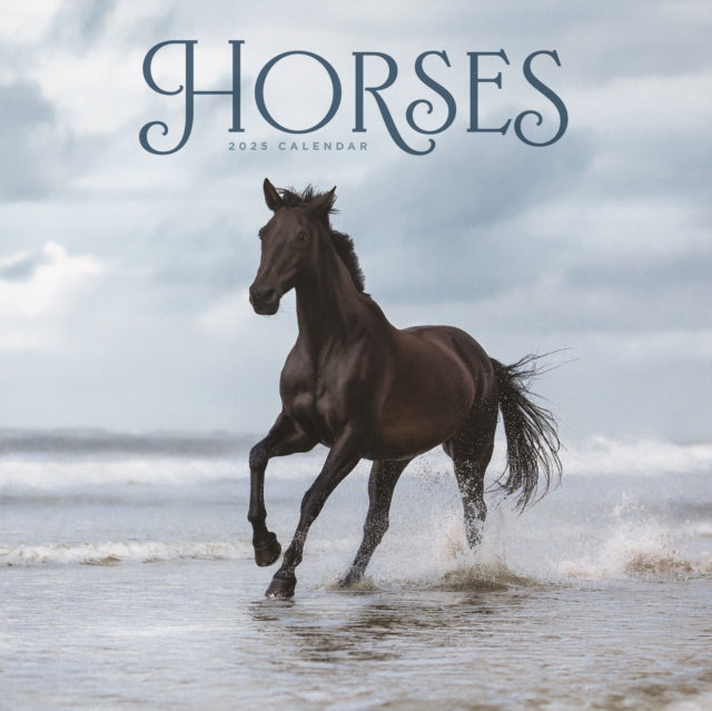 Horses Wiro Wall Calendar 2025-9781529845440