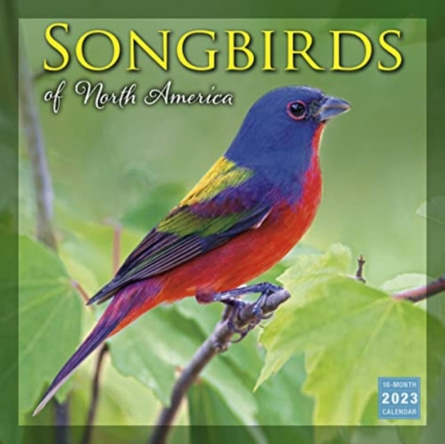 SONGBIRDS OF NORTH AMERICA-9781531916398