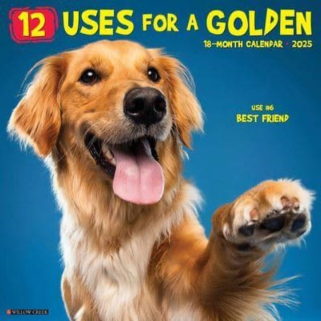 12 Uses for a Golden 2025 12 X 12 Wall Calendar-9781549241178