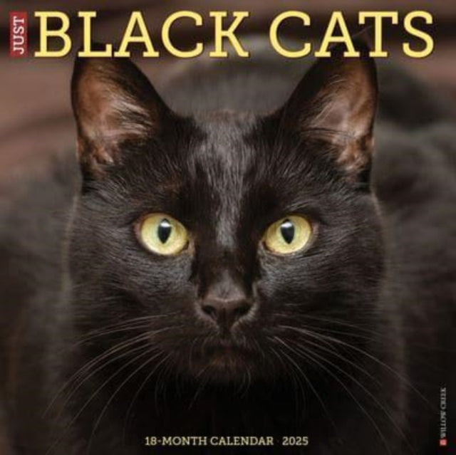 Just Black Cats 2025 12 X 12 Wall Calendar-9781549241833