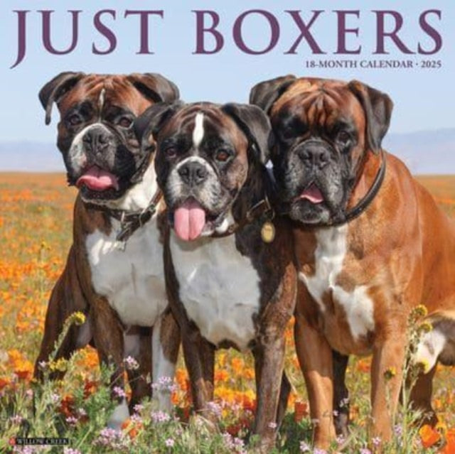 Just Boxers 2025 12 X 12 Wall Calendar-9781549241949