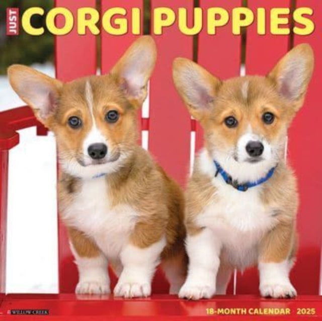Just Corgi Puppies 2025 12 X 12 Wall Calendar-9781549242540