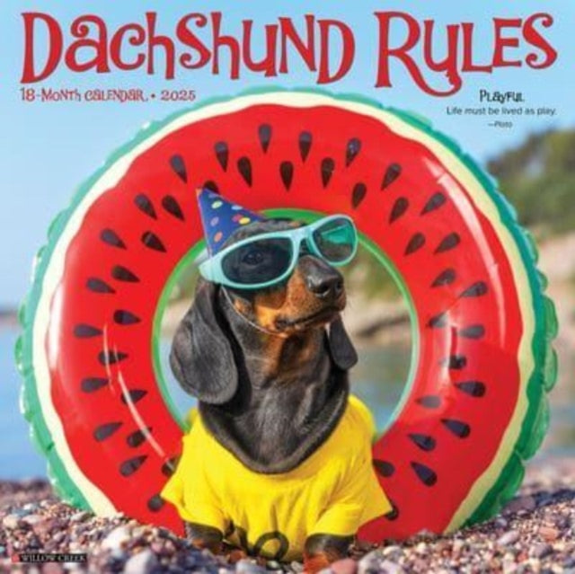 Dachshund Rules 2025 12 X 12 Wall Calendar-9781549242656