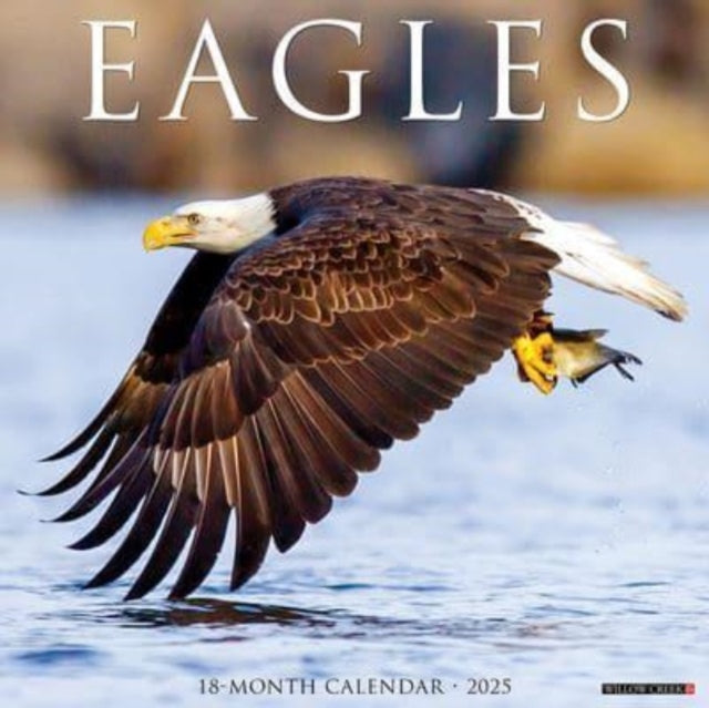 Eagles 2025 12 X 12 Wall Calendar-9781549242786