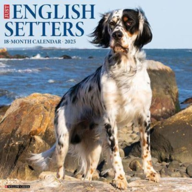 Just English Setters 2025 12 X 12 Wall Calendar-9781549242816
