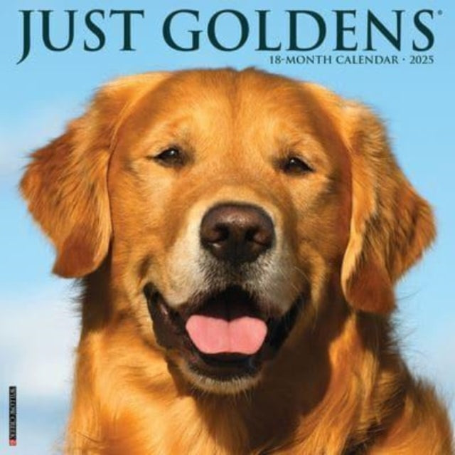 Just Goldens 2025 12 X 12 Wall Calendar-9781549243134