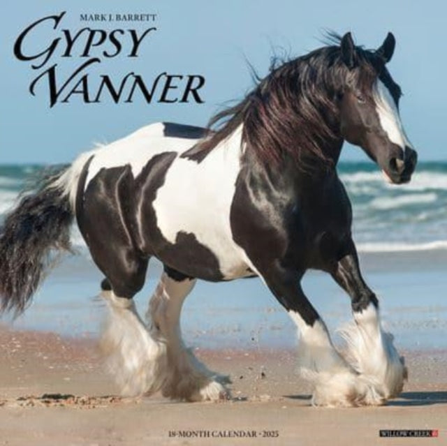 Gypsy Vanner Horse 2025 12 X 12 Wall Calendar-9781549243264