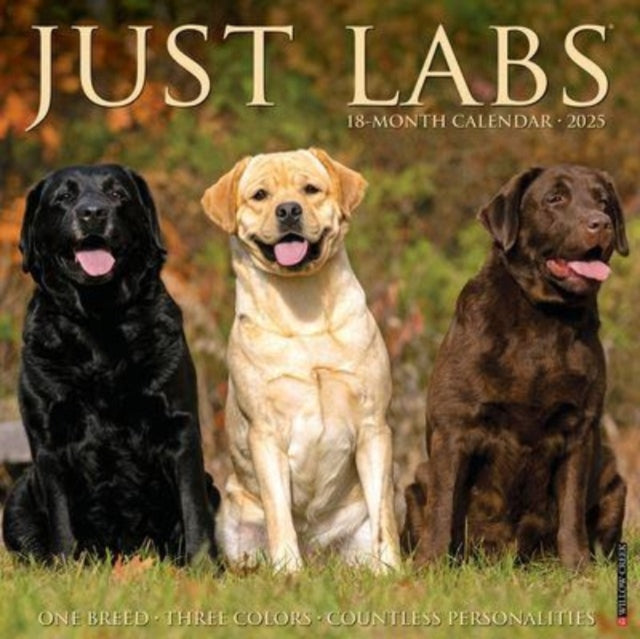 Just Labs 2025 12 X 12 Wall Calendar-9781549243677