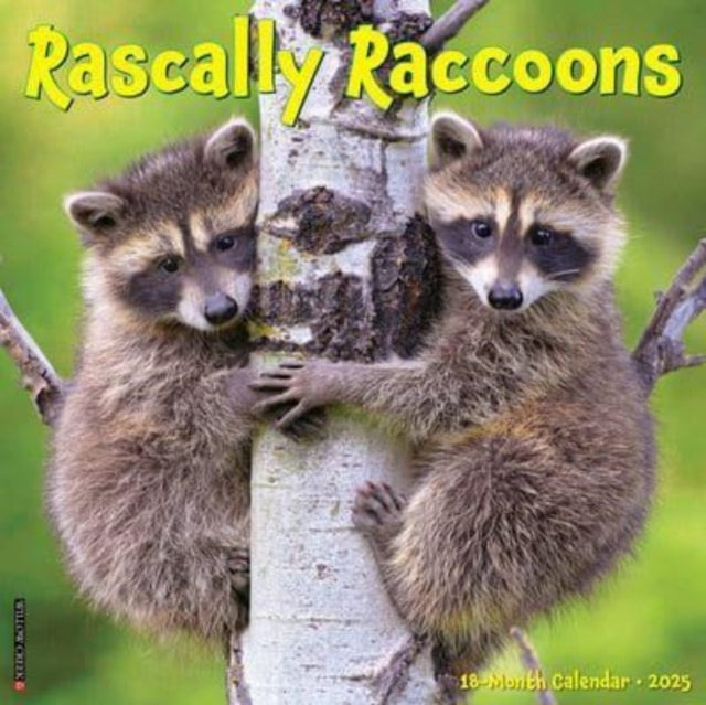 Rascally Raccoons 2025 12 X 12 Wall Calendar-9781549244643