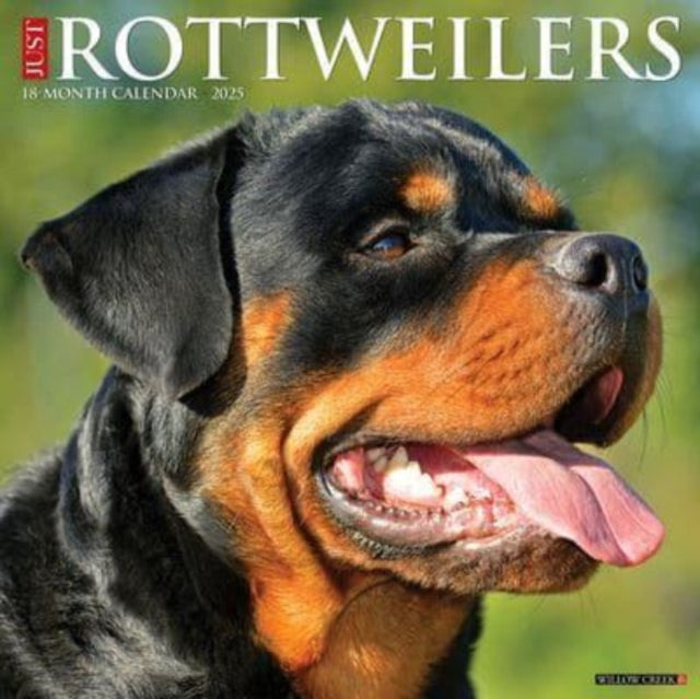 Just Rottweilers 2025 12 X 12 Wall Calendar-9781549244698