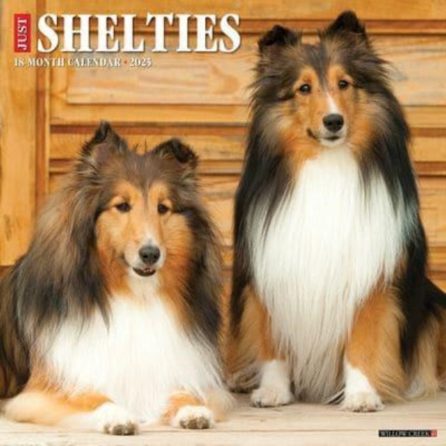 Just Shelties 2025 12 X 12 Wall Calendar-9781549244841