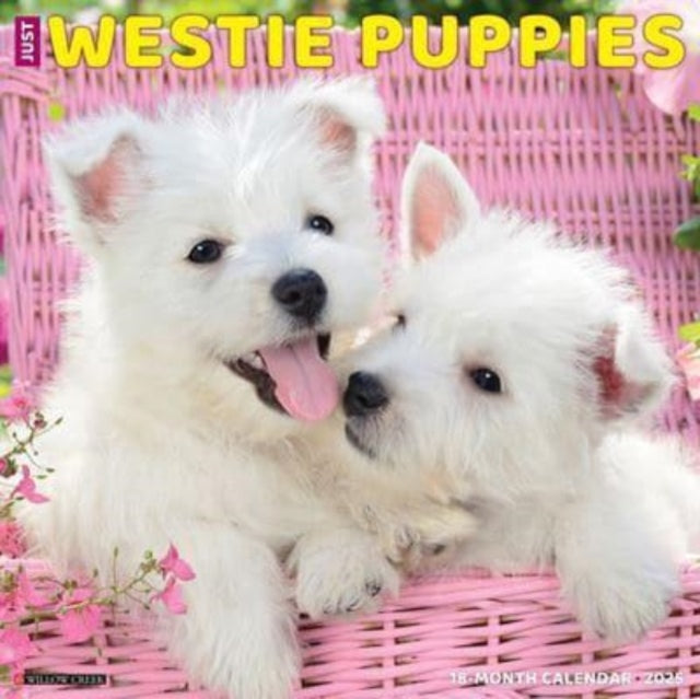Just Westie Puppies 2025 12 X 12 Wall Calendar-9781549245329
