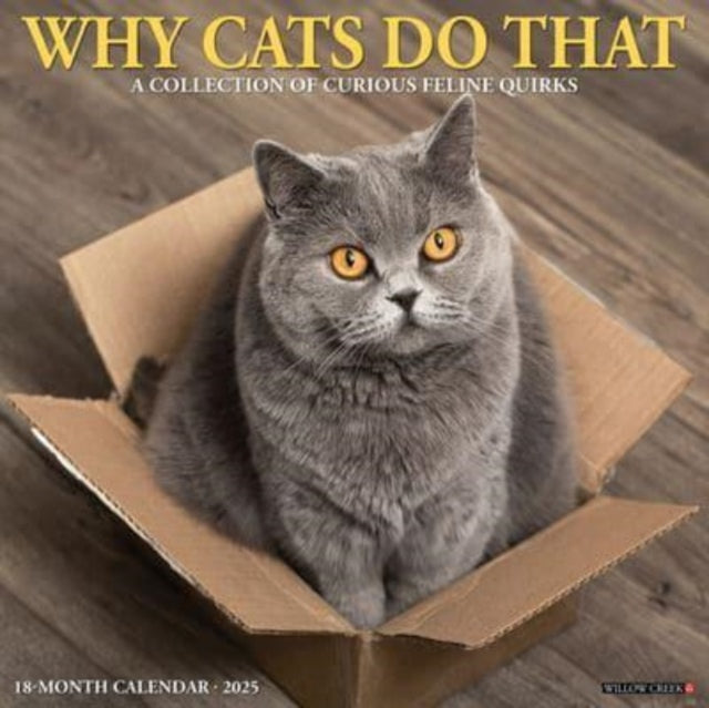 Why Cats Do That 2025 12 X 12 Wall Calendar-9781549245435