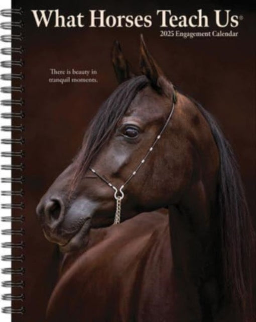 What Horses Teach Us 2025 6.5 X 8.5 Engagement Calendar-9781549246203