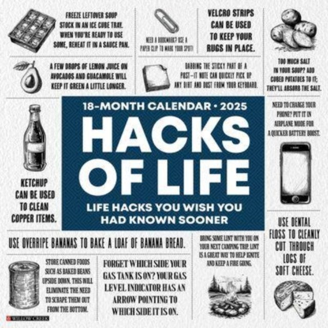 Hacks of Life 2025 12 X 12 Wall Calendar-9781549247217