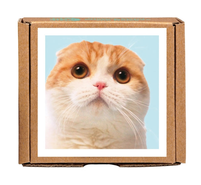Waffles the Cat GreenGift-Notes-9781623257019