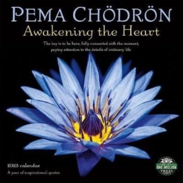 PEMA CHODRON 2023 WALL CALENDAR-9781631368912