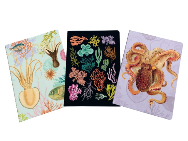 Art of Nature: Under the Sea Sewn Notebook Collection : Set of 3-9781647223847