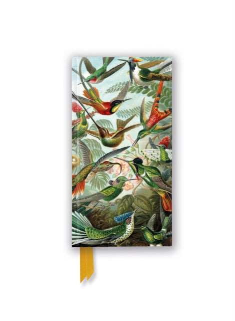 Ernst Haeckel: Hummingbirds (Foiled Slimline Journal)-9781804179161