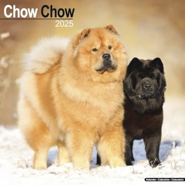 Chow Chow Calendar 2025 Square Dog Breed Wall Calendar - 16 Month-9781804603291