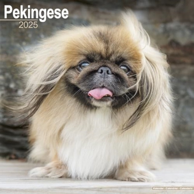 Pekingese Calendar 2025 Square Dog Breed Wall Calendar - 16 Month-9781804603741